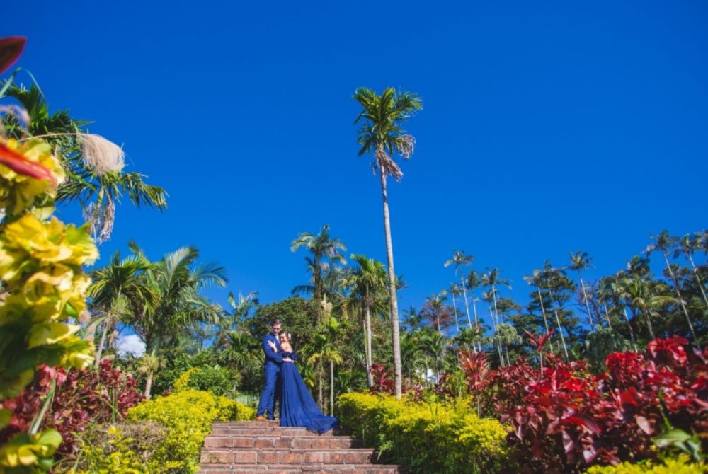 沖縄の東南植物楽園で撮影